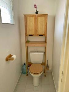 y baño con aseo y estante de madera encima. en Appartement T2 climatisé La pépite, en Saint-François