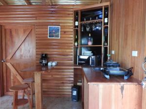 a kitchen with wooden walls and a counter with a microwave at Esquipulas Rainforest in Quepos