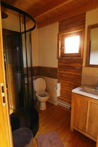 ein Bad mit einer Dusche, einem WC und einem Waschbecken in der Unterkunft Domek na Kamieńcu in Wilkowice