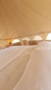 a large white bed in a tent at Kitesurf Life Glamping in Tutóia