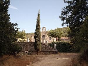 a house with a tree on the side of a road at Casa Rural Cristina I in San Pablo de los Montes +14 photos