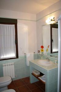 ein Badezimmer mit einem Waschbecken, einem WC und einem Spiegel in der Unterkunft Casa Rural Cristina I in San Pablo de los Montes