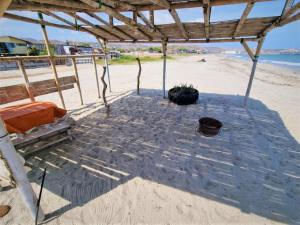 索里托斯的住宿－Bright Bungalows - Frente al Mar，海滩上的阴凉处,配有椅子和植物