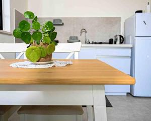A cozinha ou cozinha compacta de Hula Valley Scenery New App