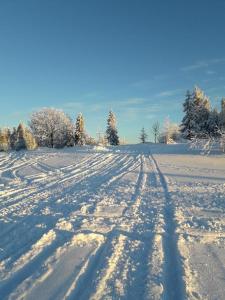 Sól的住宿－Stara chałpa oźna，雪地里覆盖着雪地,有雪地的轨道