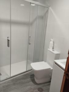 マラガにあるAPARTAMENTO LAGUNILLASの白いバスルーム(トイレ、シャワー付)