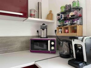 un four micro-ondes violet installé au-dessus d'un comptoir de cuisine dans l'établissement Duplex 2 chambres 3 lits, à Villard-Bonnot