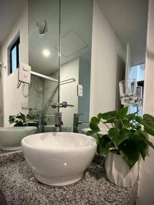 La salle de bains est pourvue d'un lavabo et d'une plante sur un comptoir. dans l'établissement Departamento Longoria 4A, à Matamoros