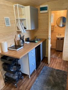 uma cozinha com um balcão e um lavatório numa cabina em Vinná maringotka em Slavonice