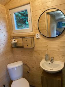 a bathroom with a toilet and a sink and a mirror at Vinná maringotka in Slavonice