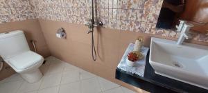une salle de bain avec toilettes, lavabo et douche dans l'établissement Sami BnB - Apt 05 Makongo after Mlimani City, à Dar es Salaam 28 autres photos