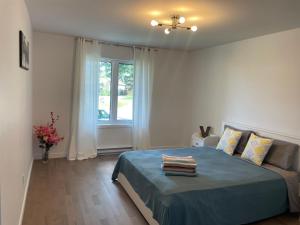 a bedroom with a blue bed and a window at Beautiful Renovated House Laval in Laval