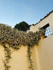 ein Gebäude mit Blumen auf der Seite in der Unterkunft Residenza La Corte in Pizzighettone