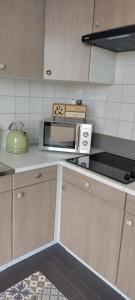 uma cozinha com um micro-ondas na bancada em L'Escapade Appartement T1 douillet tout confort em Roanne