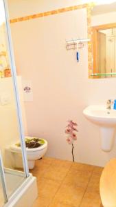 Koupelna v ubytování Apartman LEO Nr. 8 Lipno nad Vltavou
