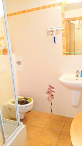 a bathroom with a toilet and a sink at Apartman LEO Nr. 8 Lipno nad Vltavou in Lipno nad Vltavou
