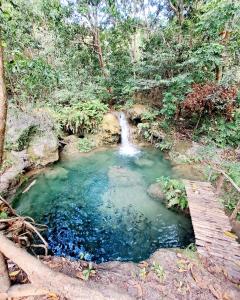 una piscina de agua con una cascada en un bosque en Hars Garden Sumba, en Waingapu