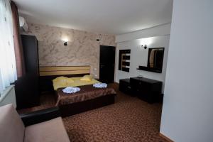 ein Hotelzimmer mit einem Bett und einem Sofa in der Unterkunft Belvedere Olanesti in Băile Olăneşti