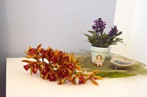 Fotografie z fotogalerie ubytování Orchidea apartments v destinaci Mascali