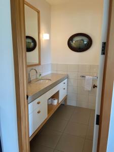 ein Bad mit einem Waschbecken und einem Spiegel in der Unterkunft Lake Vista Lodge in Taupo