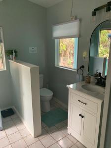 a bathroom with a sink and a toilet and a mirror at Manta Soul Tiki Cottage in Kealakekua