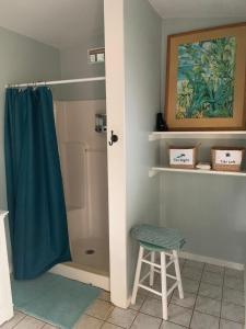 a bathroom with a blue shower curtain and a stool at Manta Soul Tiki Cottage in Kealakekua +11 photos
