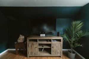 a television on a wooden stand in a room with a plant at Stunning Home, Sound View, Sauna and Covered Deck in Vashon