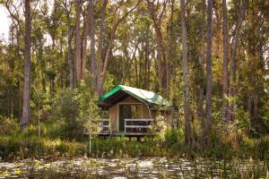 a tent in the middle of a forest at NRMA Darlington Beach Holiday Resort in Arrawarra