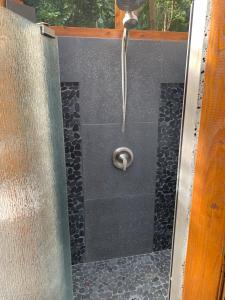 y baño con ducha con cabezal de ducha. en Manta Soul Jungle Geodome en Kealakekua