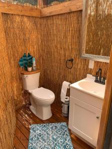 a bathroom with a toilet and a sink at Manta Soul Jungle Geodome in Kealakekua