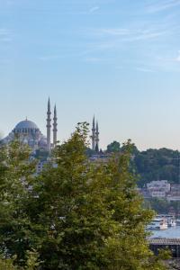 伊斯坦堡的住宿－Art Karaköy Suites，享有清真寺的景象,有树在前方