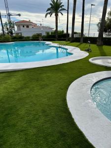 a large swimming pool with grass and palm trees at Apartment Martinez Casablanca in Alcossebre