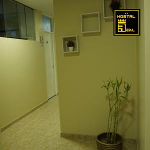 ein Zimmer mit einer Pflanze in einem Topf neben einer Wand in der Unterkunft Hostal Real Piura - Oficial in Piura