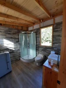 a bathroom with a shower and a toilet and a sink at Ruka kuzel in Pucón