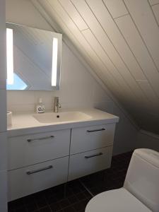 een badkamer met een wastafel en een toilet bij The House in Lahti
