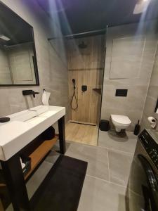 a bathroom with a sink and a toilet at Apartman Mary Lou, Hotel Ovruc in Vysoké Tatry