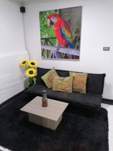 a living room with a parrot sitting on a couch at Disfruta tu estancia en Pereira! in Pereira