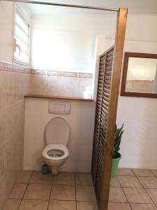 a bathroom with a toilet with a window at Au domaine du vacoa in Saint-Philippe
