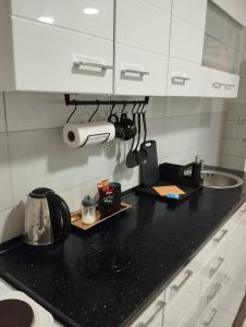 Kuhinja oz. manjša kuhinja v nastanitvi Apartman Katy