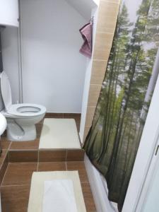 Kopalnica v nastanitvi Apartman Katy