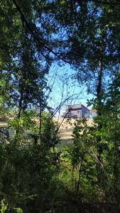 ein Haus inmitten eines Feldes mit Bäumen in der Unterkunft Karu-Terra cabin in Huiscapi