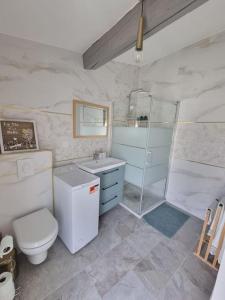 een badkamer met een toilet, een douche en een wastafel bij Charmante petite maison in Le Crès