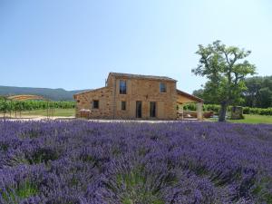 a house in the middle of a field of lavender at le bastidon in Villars