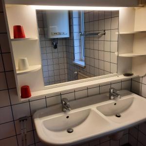 La salle de bains est pourvue d'un lavabo et d'un miroir. dans l'établissement Apartment Marianne, à Bad Gastein