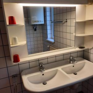 ein Bad mit einem Waschbecken und einem Spiegel in der Unterkunft Apartment Marianne in Bad Gastein