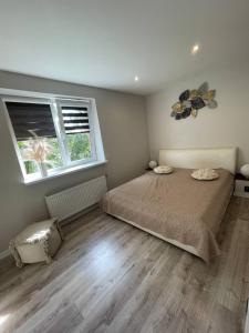 ein Schlafzimmer mit einem großen Bett und einem Fenster in der Unterkunft Expansive One Bedroom Gem in a Peaceful Locale in Riga