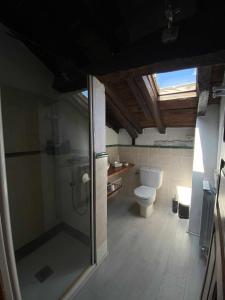een badkamer met een douche en een toilet bij Las Casas de Quintanilla 3 in Quintanilla las Torres