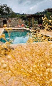 una piscina en medio de un patio en Résidence de Luxe 4 étoiles à Pietralba, 4 logements piscine chauffée BALAGNE, en Pietralba