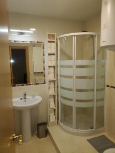 a bathroom with a shower and a sink at El Ático in Tordesillas +7 photos