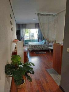 ein Wohnzimmer mit einem Sofa und einer Topfpflanze in der Unterkunft Estancia acogedora en Vigo in Vigo